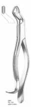  Fig. 10H upper molars 